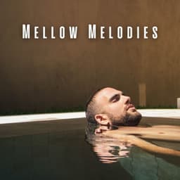 Mellow Melodies: Spa Relaxation with Chill Music - Matter and Energy