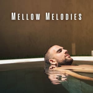 Mellow Melodies: Spa Relaxation with Chill Music - Matter and Energy