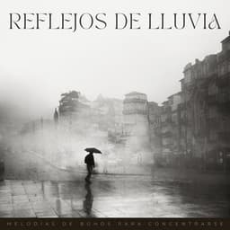 Reflejos De Lluvia: Melodías De Búhos Para Concentrarse - Lloviendo Relajante
