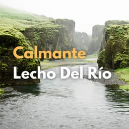 Calmante Lecho Del Río - Efectos especiales de la madre naturaleza