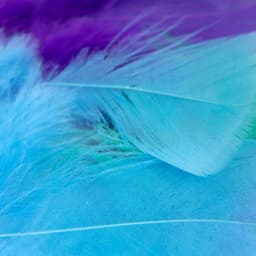 Feelings for Meditative Rhythm - Calm Instrumental Jazz