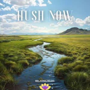 Hush Now - Relaxing Muzic