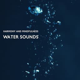 Harmony and Mindfulness: Water Sounds for Sleep, Land of Deep Relaxation - Calming Waters Consort