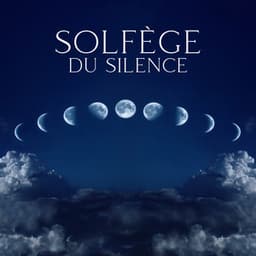 Solfège du Silence: Harmonisation des Chakras - Relaxation mentale