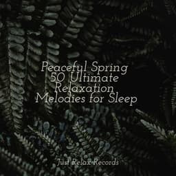 Peaceful Spring 50 Ultimate Relaxation Melodies for Sleep - Study Hard