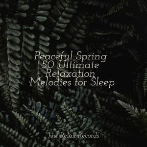 Peaceful Spring 50 Ultimate Relaxation Melodies for Sleep - Study Hard