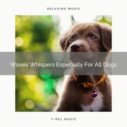 Waves Whispers Especially For All Dogs - Dog Relax