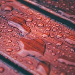 12am Ambient: Tempest & Tranquility - 24H Rain Sounds