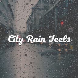 City Rain Feels - Day & Night Rain