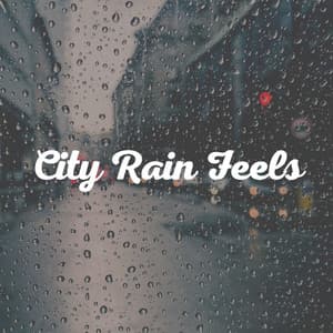 City Rain Feels - Day & Night Rain