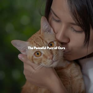 The Peaceful Purr of Ours - Restaurant Jazz Classics