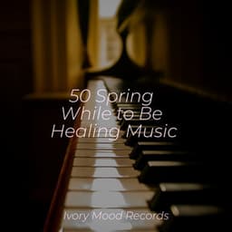 50 Spring While to Be Healing Music - Ivory Mood