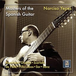 Masters of the Spanish Guitar: Narciso Yepes - Narciso Yepes