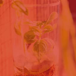 Background Music for Morning Yoga - Yoga Music Play List