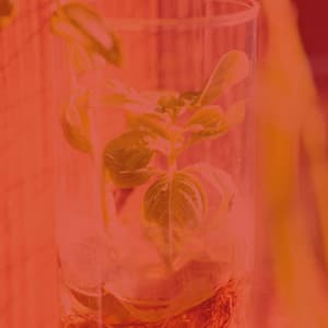 Background Music for Morning Yoga - Yoga Music Play List