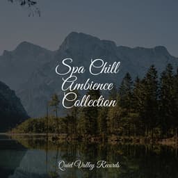 Spa Chill Ambience Collection - Música para Relaxar Maestro