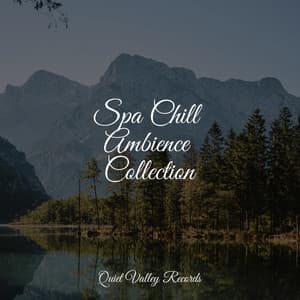Spa Chill Ambience Collection - Música para Relaxar Maestro