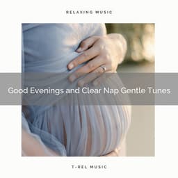 1 Good Evenings and Clear Nap Gentle Tunes - Womb Sound