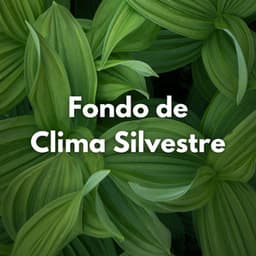 Fondo De Clima Silvestre - Sonidos del clima