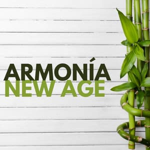 Armonía New Age: Relajación Profunda, Tranquilidad y Meditación en Armonía con el Mundo - Paraíso Secreto