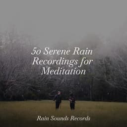 50 Serene Rain Recordings for Meditation - Canciones de Cuna para Bebés Acadèmico