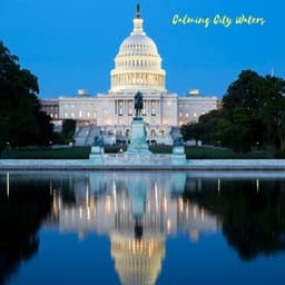 Calming City Waters - Forest FX