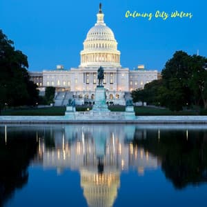 Calming City Waters - Forest FX