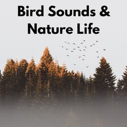 Bird Sounds & Nature Life - Actors of Nature