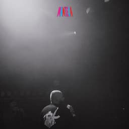 El Cantante - CRIMEAPPLE