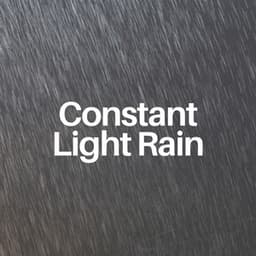 Constant Light Rain - Rain Lullaby