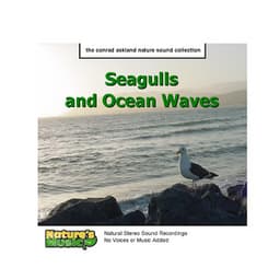 Seagulls and Ocean Waves - Nature's Music