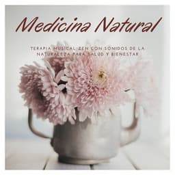 Medicina Natural: Terapia Musical Zen con Sonidos de la Naturaleza para Salud y Bienestar - Musica Tranquila Maestro