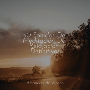 50 Sonidos De Meditación De Relajación Definitivos - Meditación Maestro