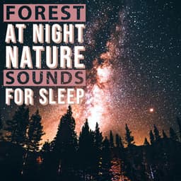 Forest at Night - Nature Sounds for Sleep - Natural Sound Makers