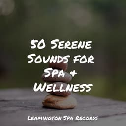 50 Serene Sounds for Spa & Wellness - Weather Factory