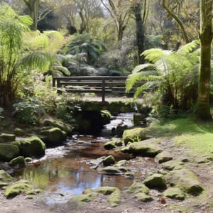 Armonía Fluyente: La Serenata Del Río - Sonidos Naturaleza