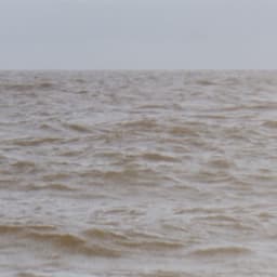 Wild Sea - Isabella Summers