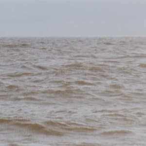 Wild Sea - Isabella Summers