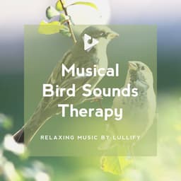 Musical Bird Sounds Therapy - Relaxing Music by Lullify