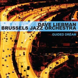 Guided Dream - Dave Liebman