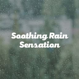 Soothing Rain Sensation - Rain Storm Sample Library