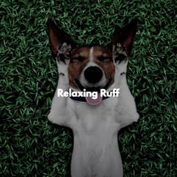 Relaxing Ruff - Restaurant Background Playlist
