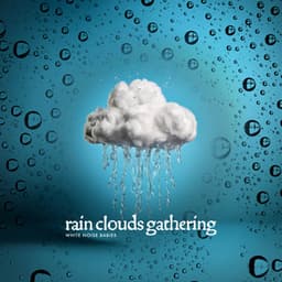 Rain Clouds Gathering - White Noise Babies