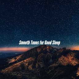Smooth Tunes for Good Sleep - Instrumental Study Music
