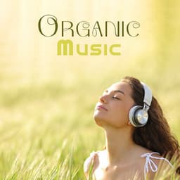 Organic Music: Instrumental New Age With Sound Effects Of Nature - Black Butterfly Music Ensemble
