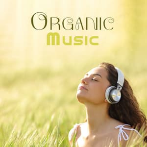 Organic Music: Instrumental New Age With Sound Effects Of Nature - Black Butterfly Music Ensemble
