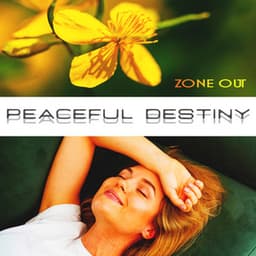 Peaceful Destiny - Zone Out