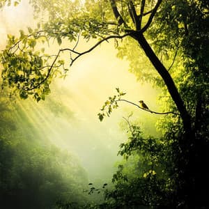 Birdsong Bliss - Earthly