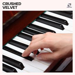Crushed Velvet - Piano Bar
