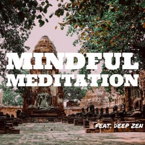 Mindful Meditation - Meditation Nation